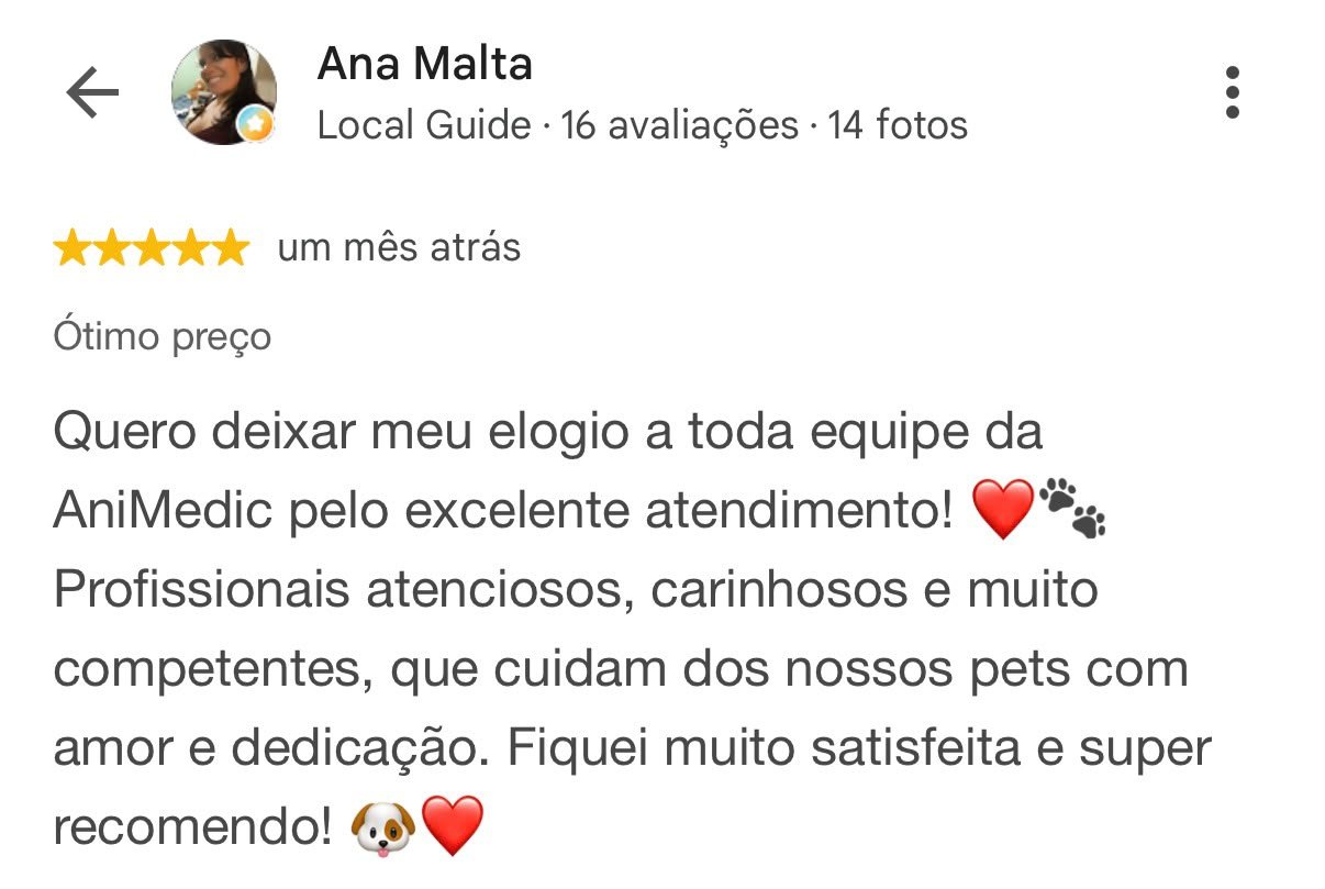 Foto do depoimento de Ana Malta no Google, com avaliação de cinco estrelas