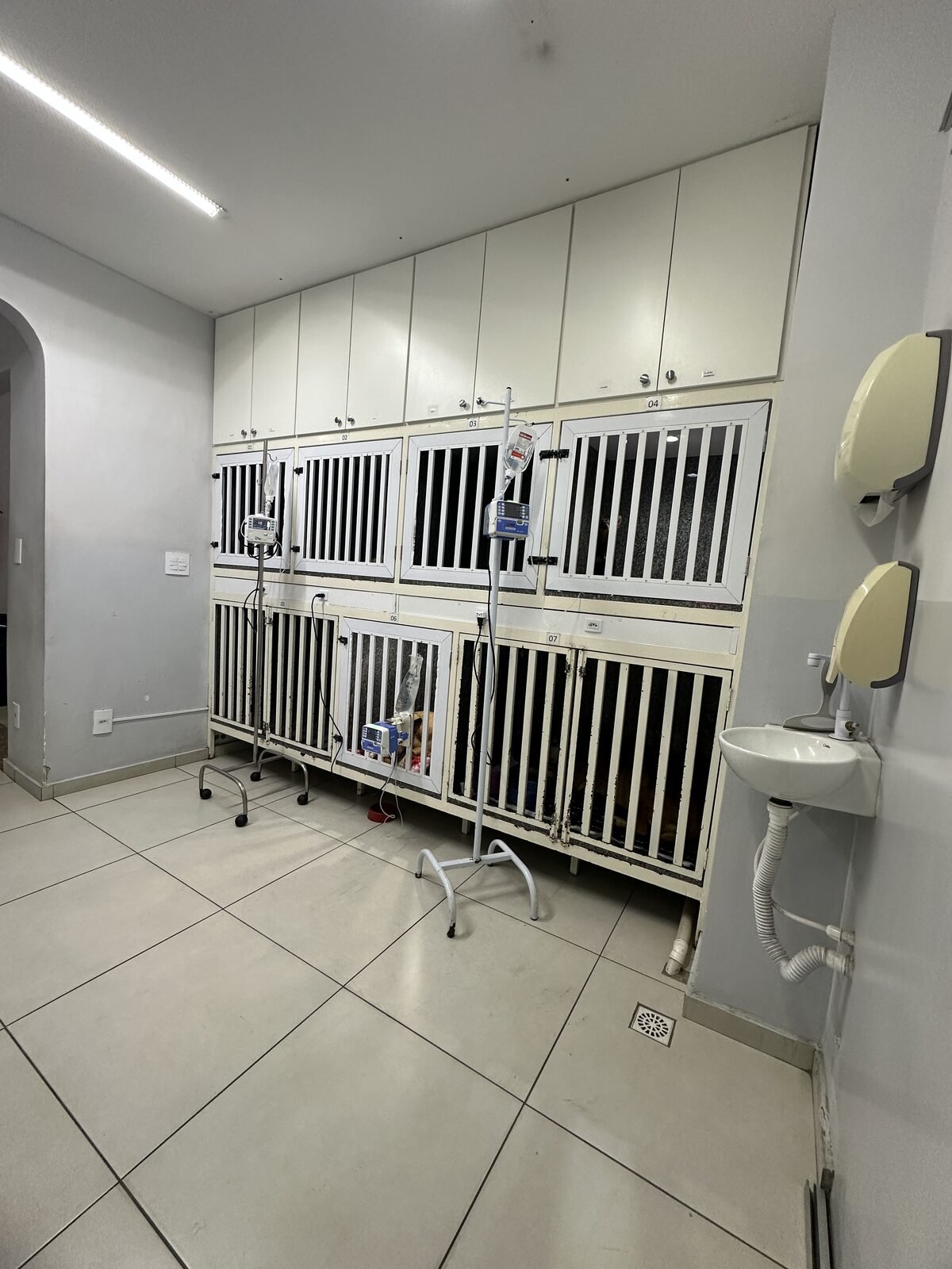 Ambiente de internação da AniMediC com baias e equipamentos de infusão
